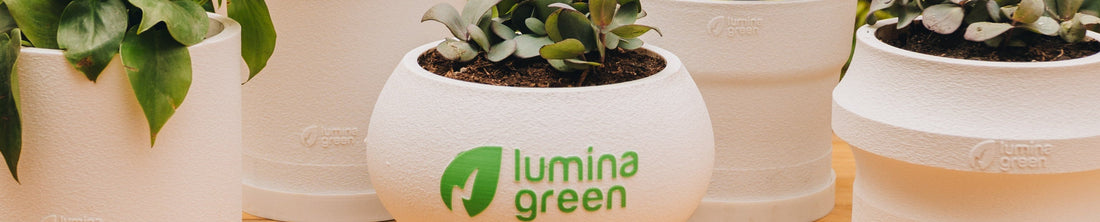 Lumina Green